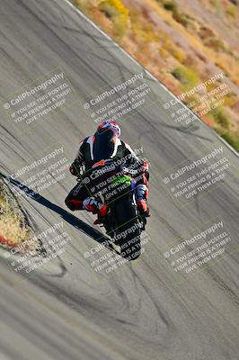 media/Oct-24-2025-2WTD (Fri) [[491f36c2bf]]/B Group/Session 3 (Turn 5)/